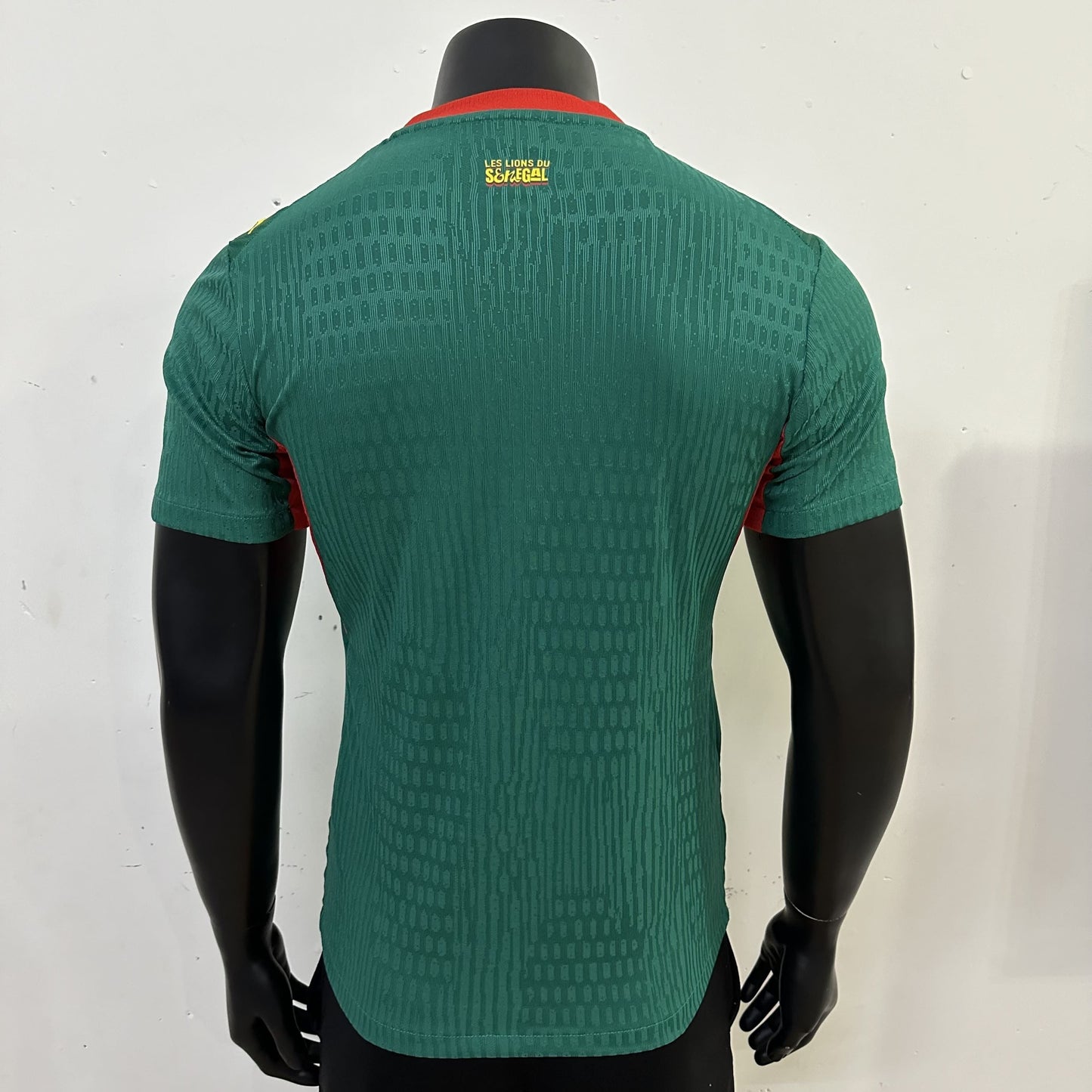 SENEGAL 2026 HOME